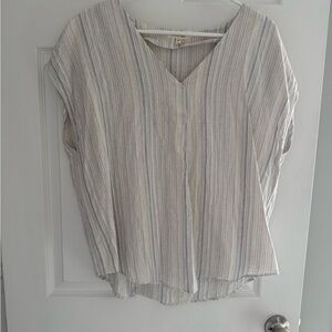 Cotton Bleu Striped V-Neck Women's Top